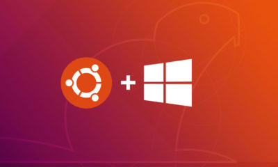 Windows 10 y Ubuntu 18