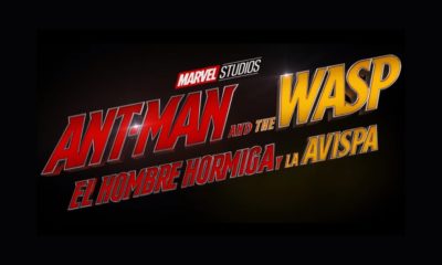 ant-man avispa