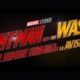 ant-man avispa