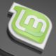 Nueva versión de Linux Mint, el Linux para todos los públicos 62