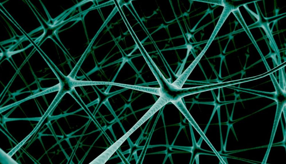 IBM desarrolla marcas de agua para proteger la propiedad de los modelos de IA