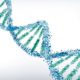 El primer sistema de almacenamiento basado en ADN estará disponible próximamente 37