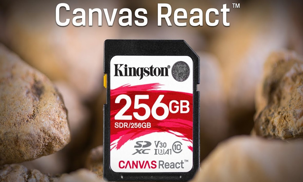 microSD Canvas React