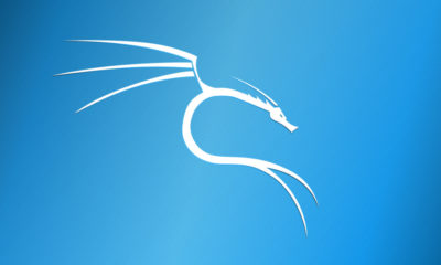 Kali Linux 2019.1