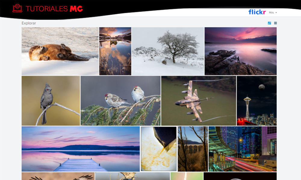 como descargar fotos flickr