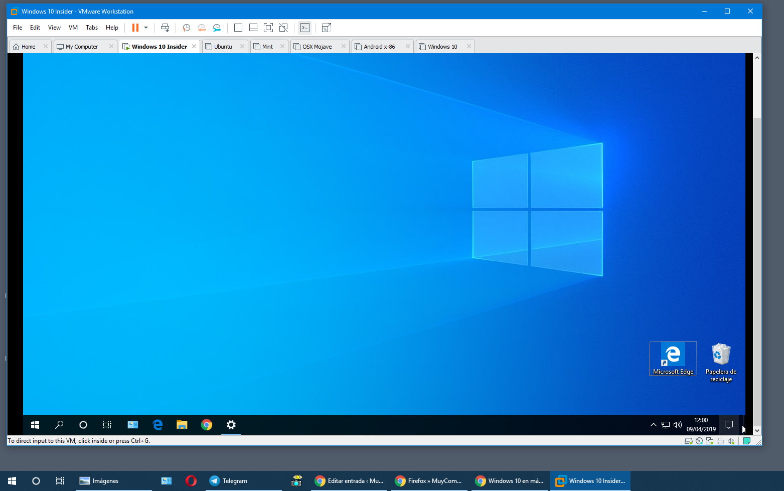 Windows 10 May 2019 Update en máquina virtual