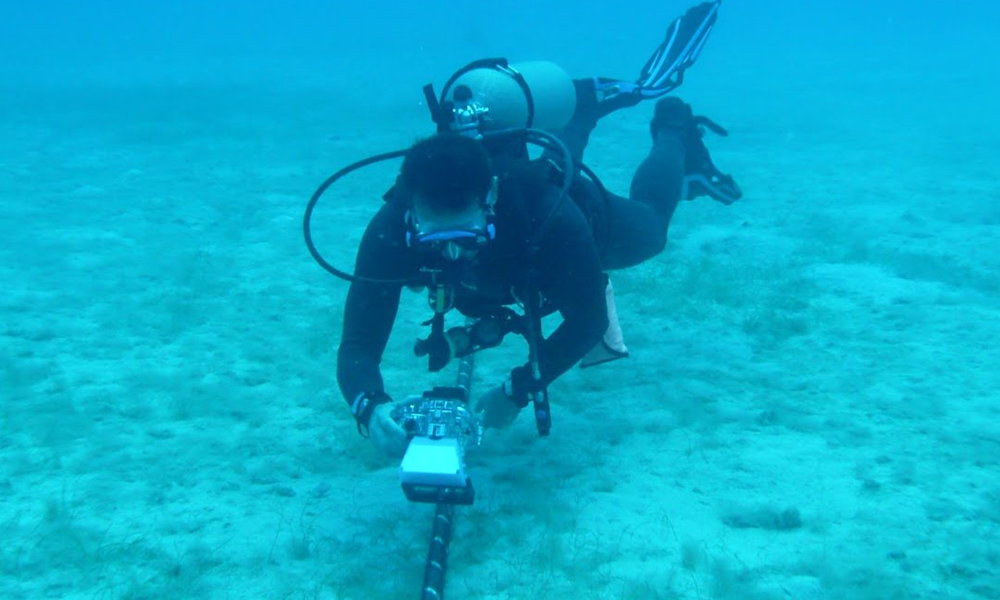 cables submarinos