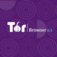 Tor Browser 8.5 Android
