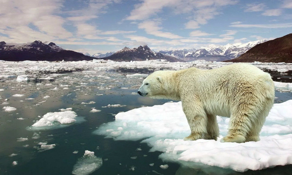 Cumbre del Clima de la ONU