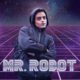 Mr. Robot