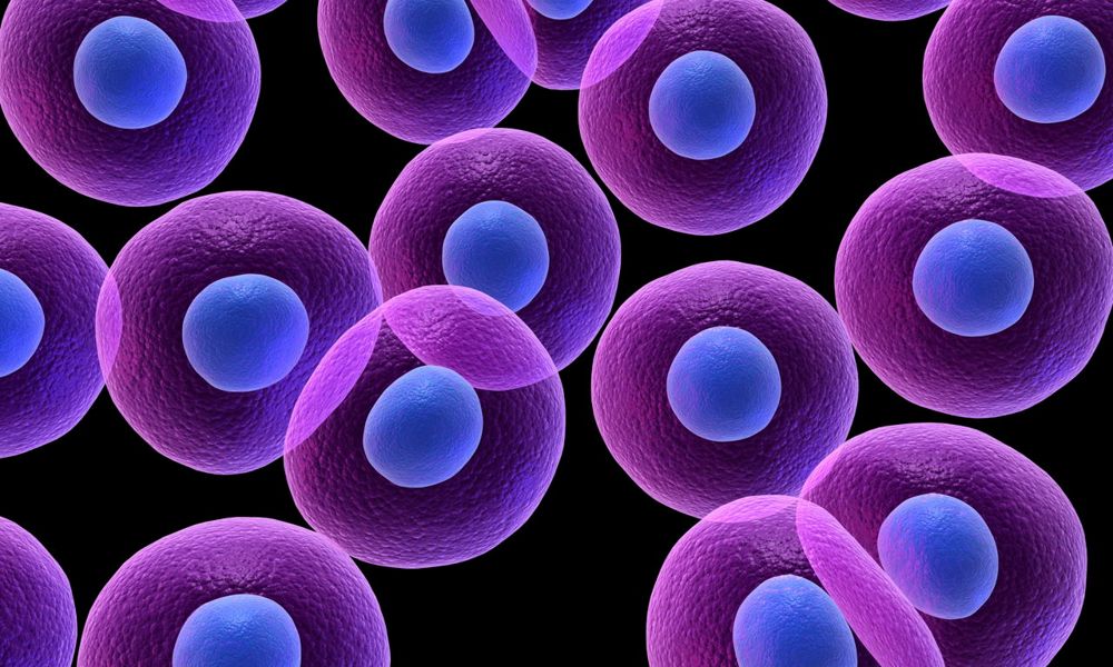 órganos humanos artificiales