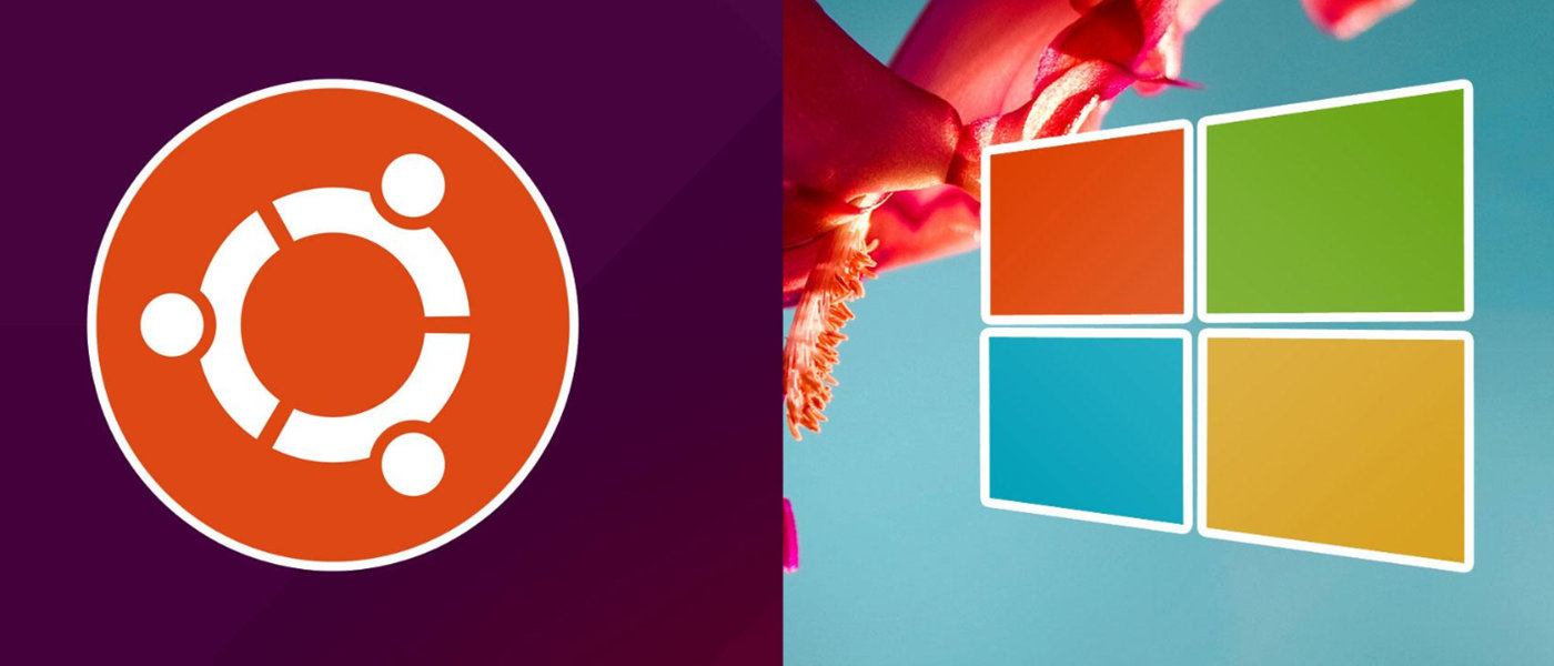 Ubuntu 19.10 y Windows 10