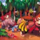Donkey Kong Country