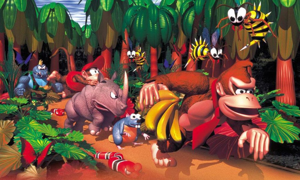 Donkey Kong Country