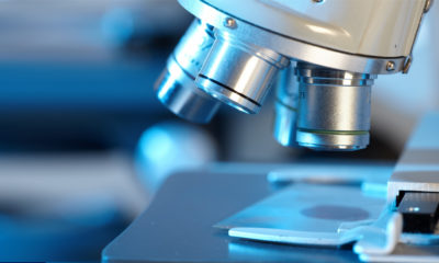 Ecoli Reduce Dióxido de carbono