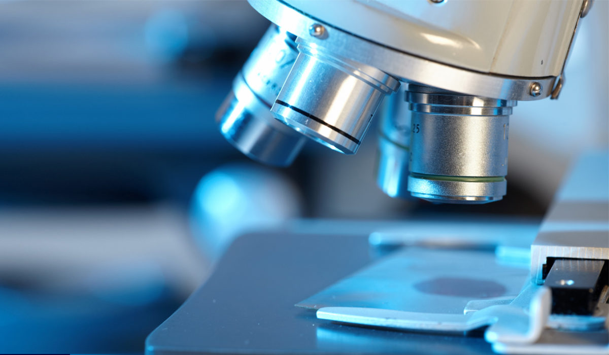 Ecoli Reduce Dióxido de carbono