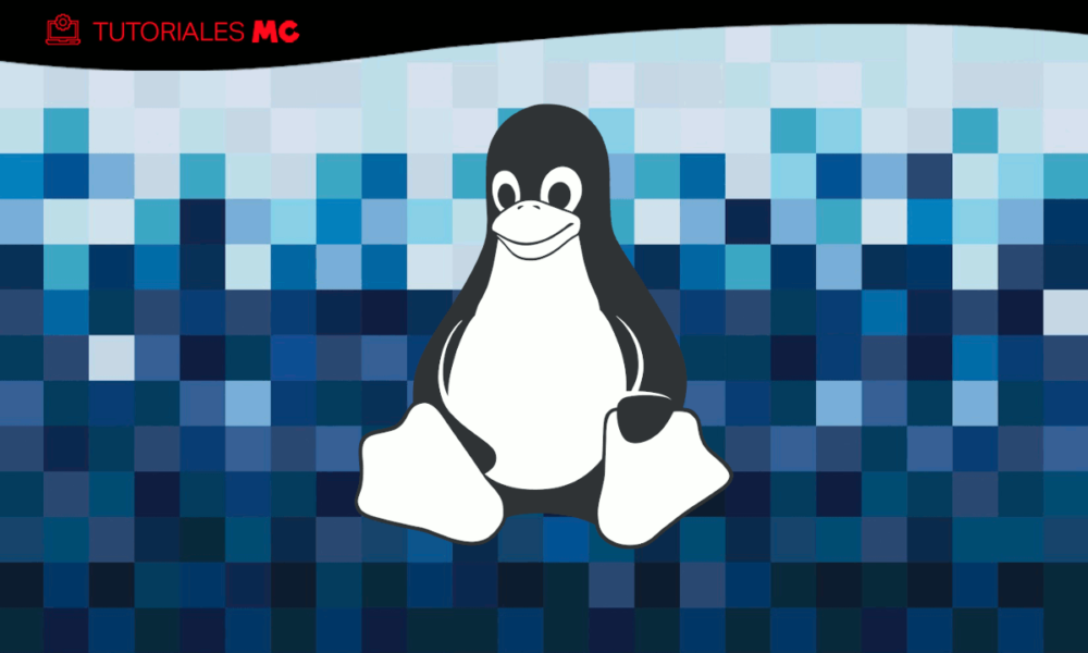 Probar Linux