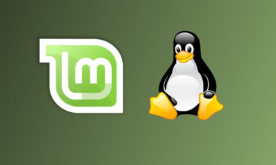 Linux Mint 19.3