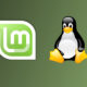 Linux Mint 19.3