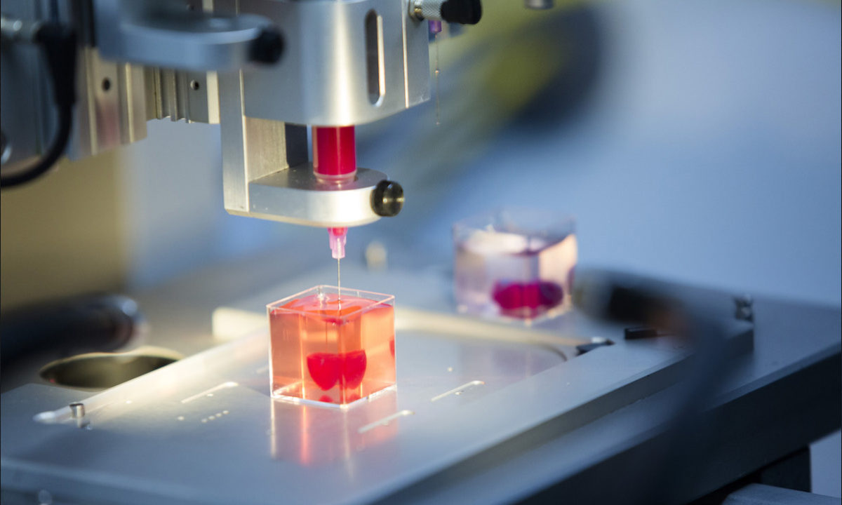 Corazón impresión 3D