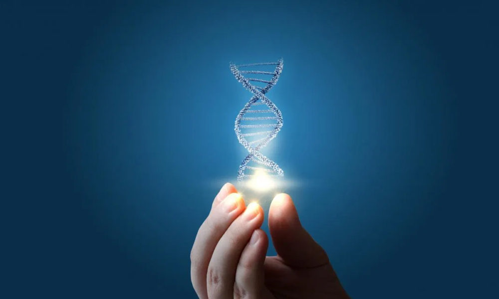 Estudio Metástasis Cáncer