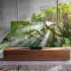 Samsung 2020 QLED 8K