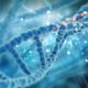 Autorizado en España el primer proyecto de modificación genética en embriones 32