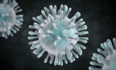 coronavirus