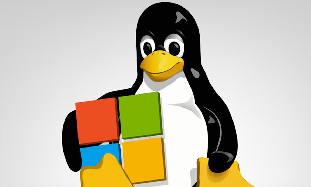Linux en Windows