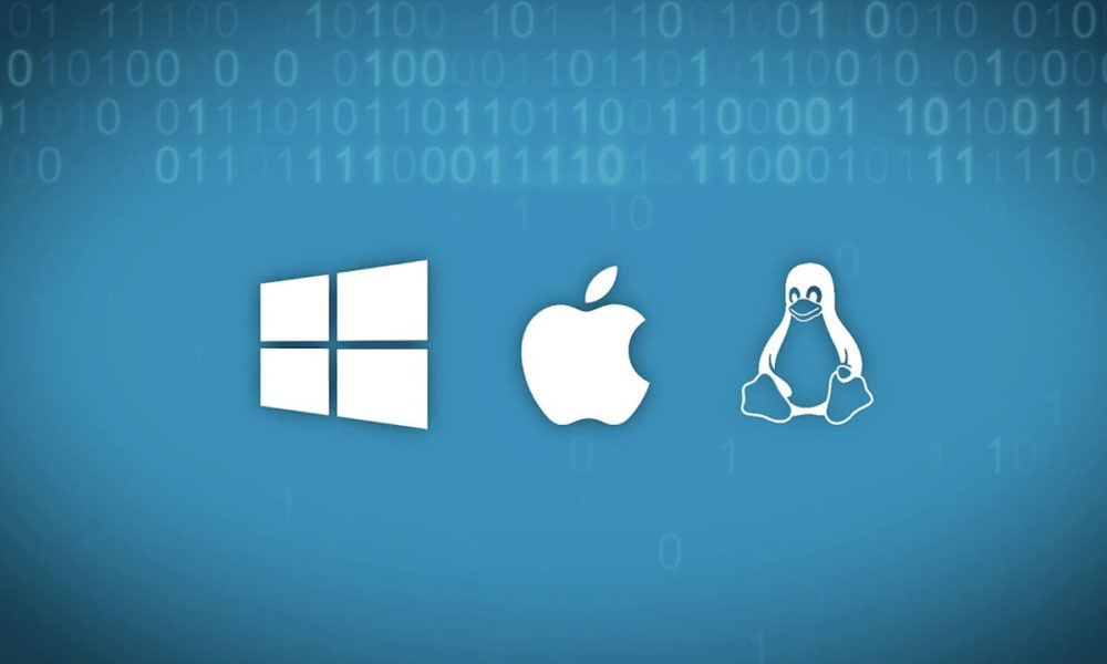 vulnerabilidades de software