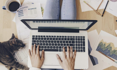 mejores contenidos