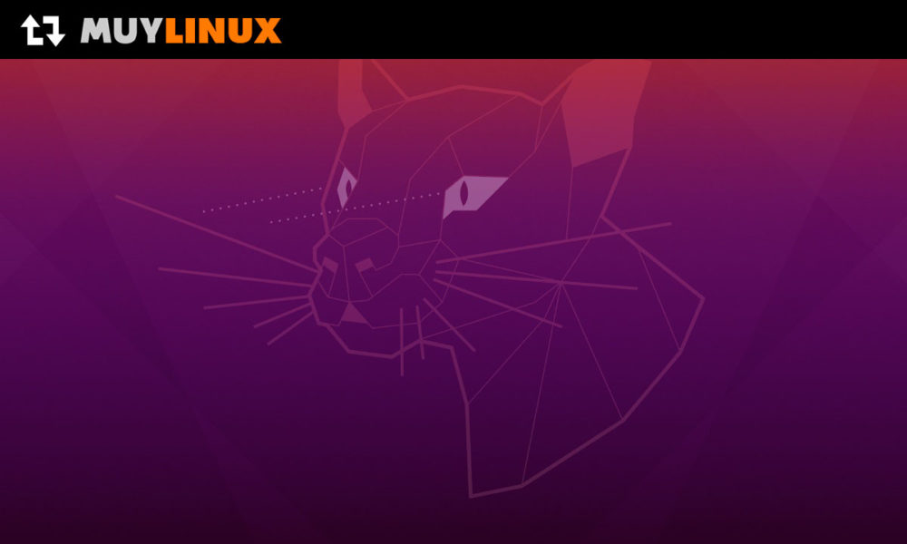 Ubuntu 20.04 LTS