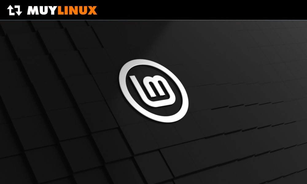 Linux Mint 20