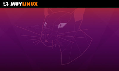 Ubuntu 20.04.1 LTS