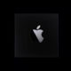 Apple Silicon debutará el 10 de noviembre