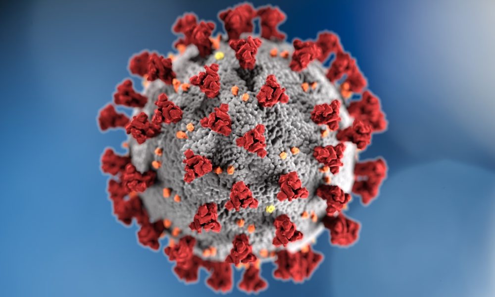 Vacuna de Pfizer: ¿qué sabemos hasta el momento?