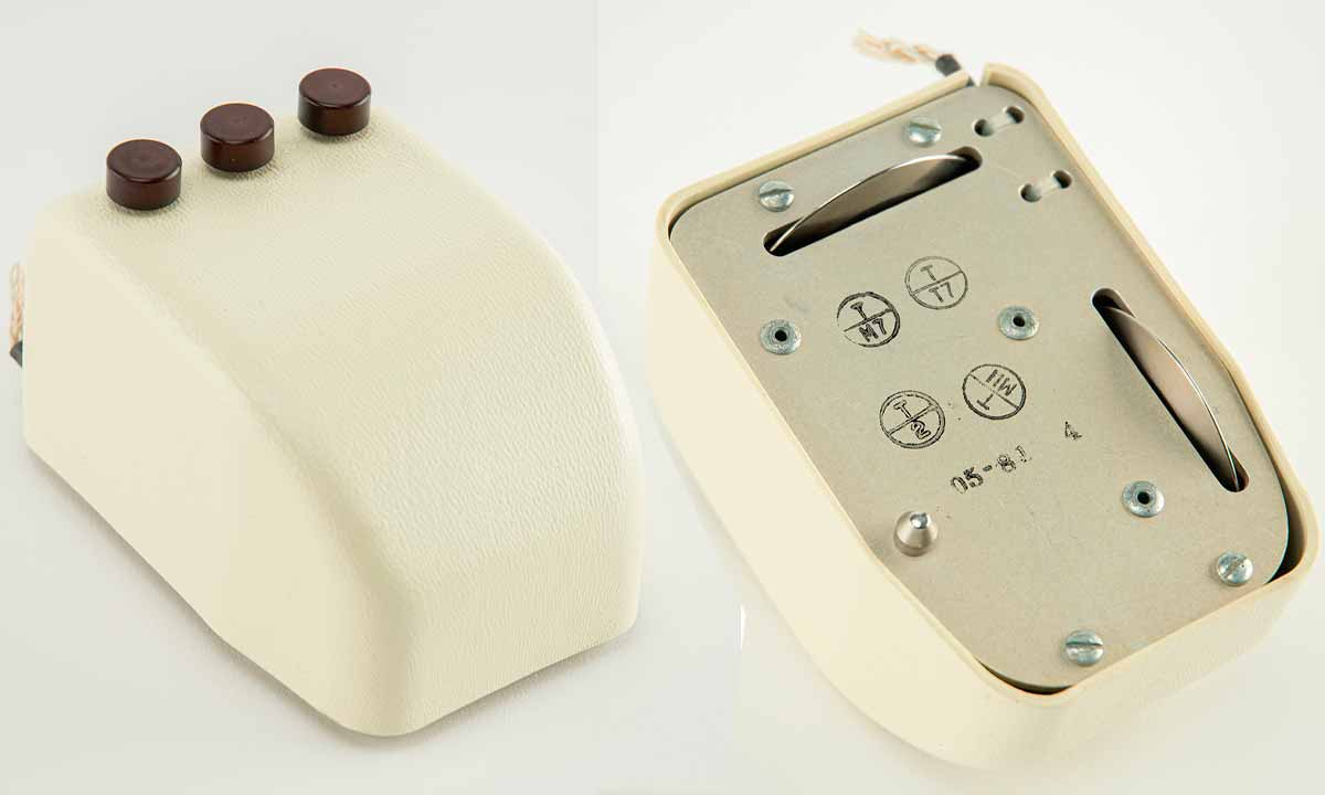 ¿Quieres el que pudo ser el primer ratón de la historia? Es el momento para pujar por él