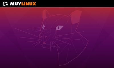 Ubuntu 20.04.2 LTS