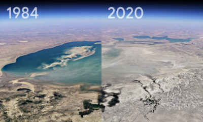 Google Earth Timelapse la Tierra 37 años