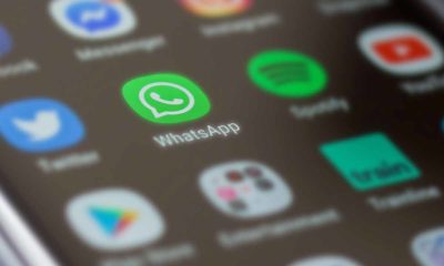 Un problema de Whatsapp podría eliminar tu cuenta para siempre
