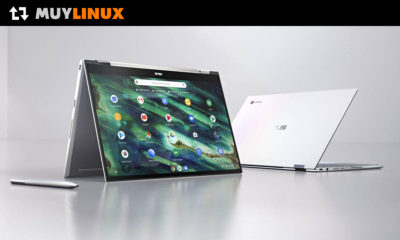 aplicaciones de Linux en Chrome OS