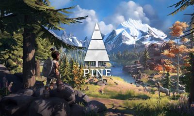 pine