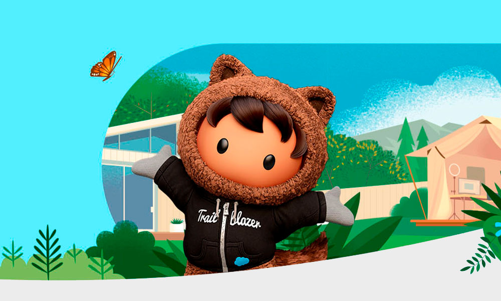 salesforce live 1