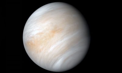 un día en Venus
