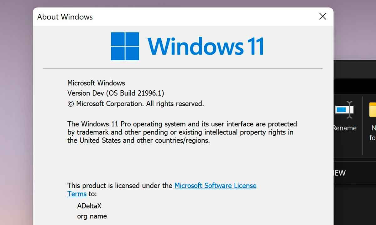 Windows 11 se deja ver por primera vez