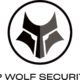 HP Wolf Security: hardware y software al servicio de la seguridad