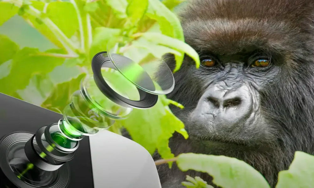 Gorilla Glass DX