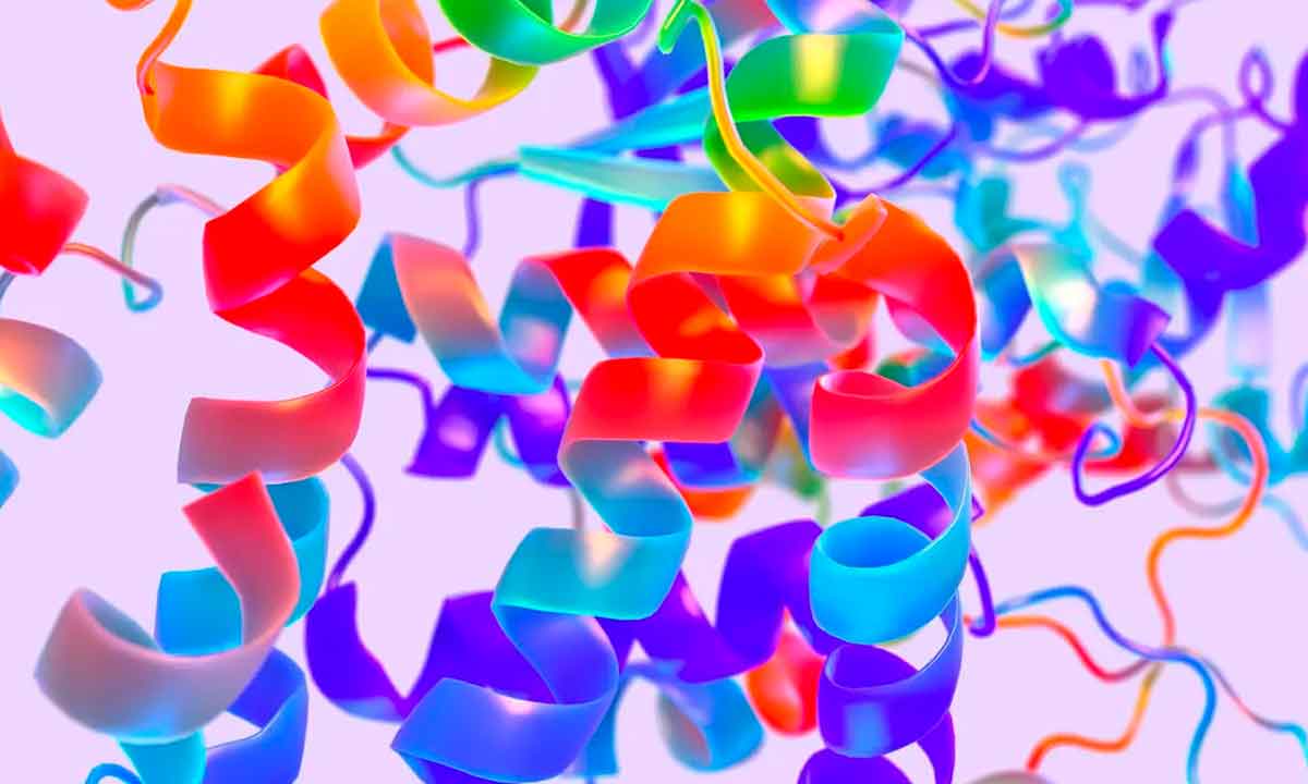 Proteínas humanas: su mapa ya está muy cerca