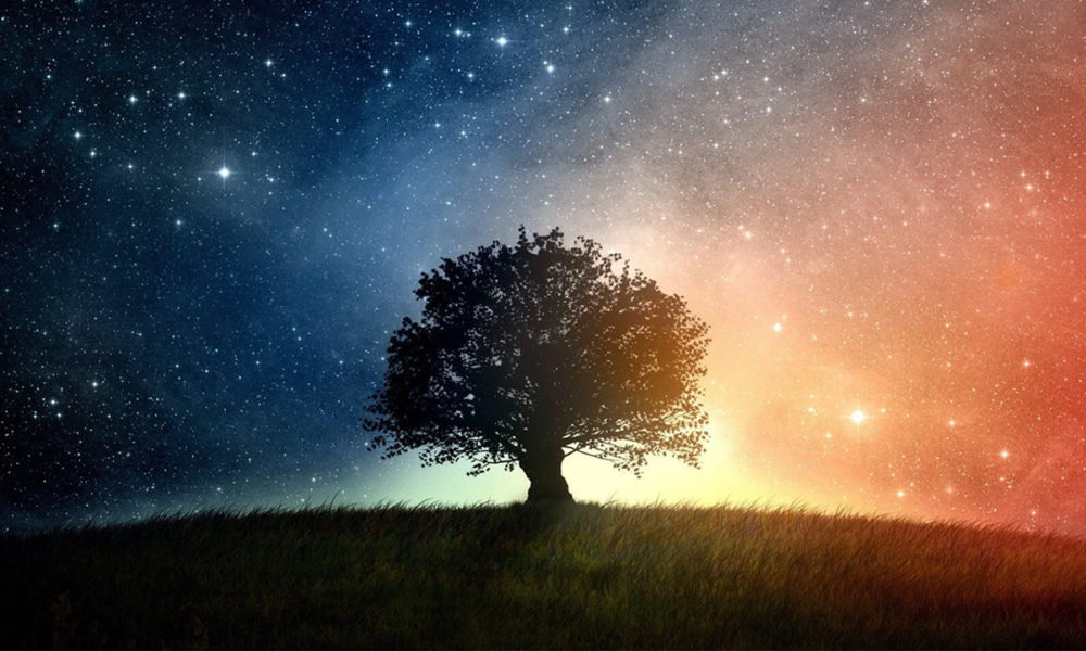 Científicos de la NASA El árbol de la vida