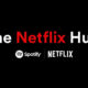 The Netflix Hub Spotify